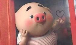 粉色的猪爆料图片视频,独家图片视频揭秘幕后真相